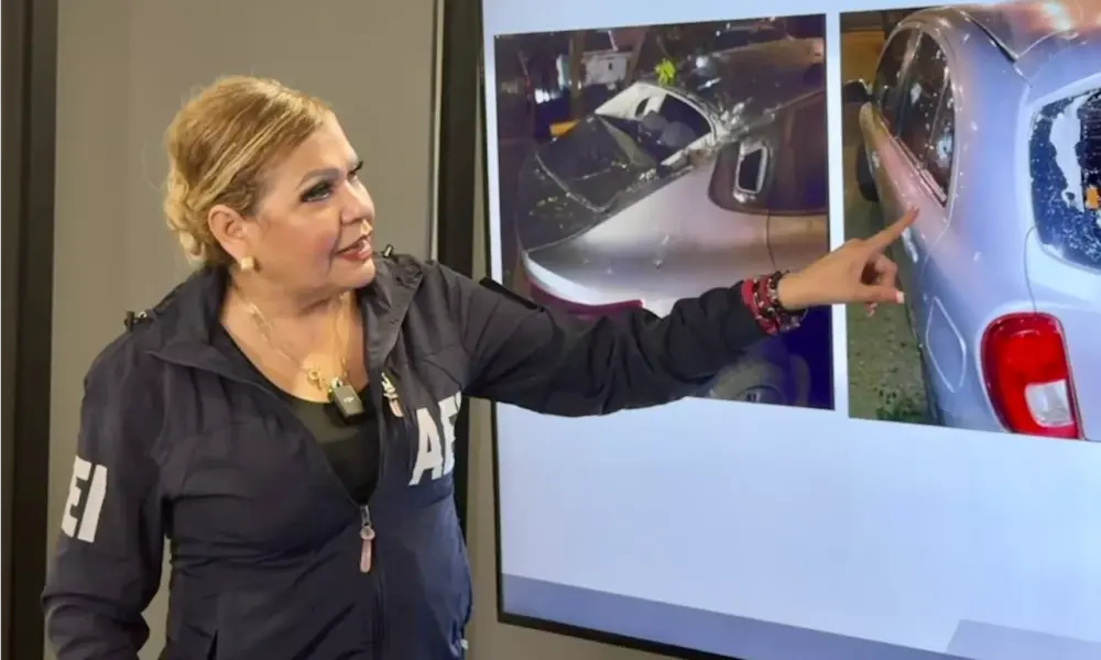 California Bans All Plastic Bags by 2026 After Major Settlement